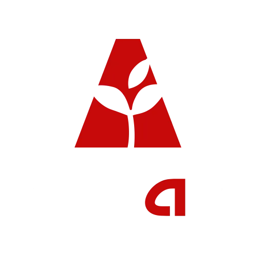 株式会社ノヴァロ